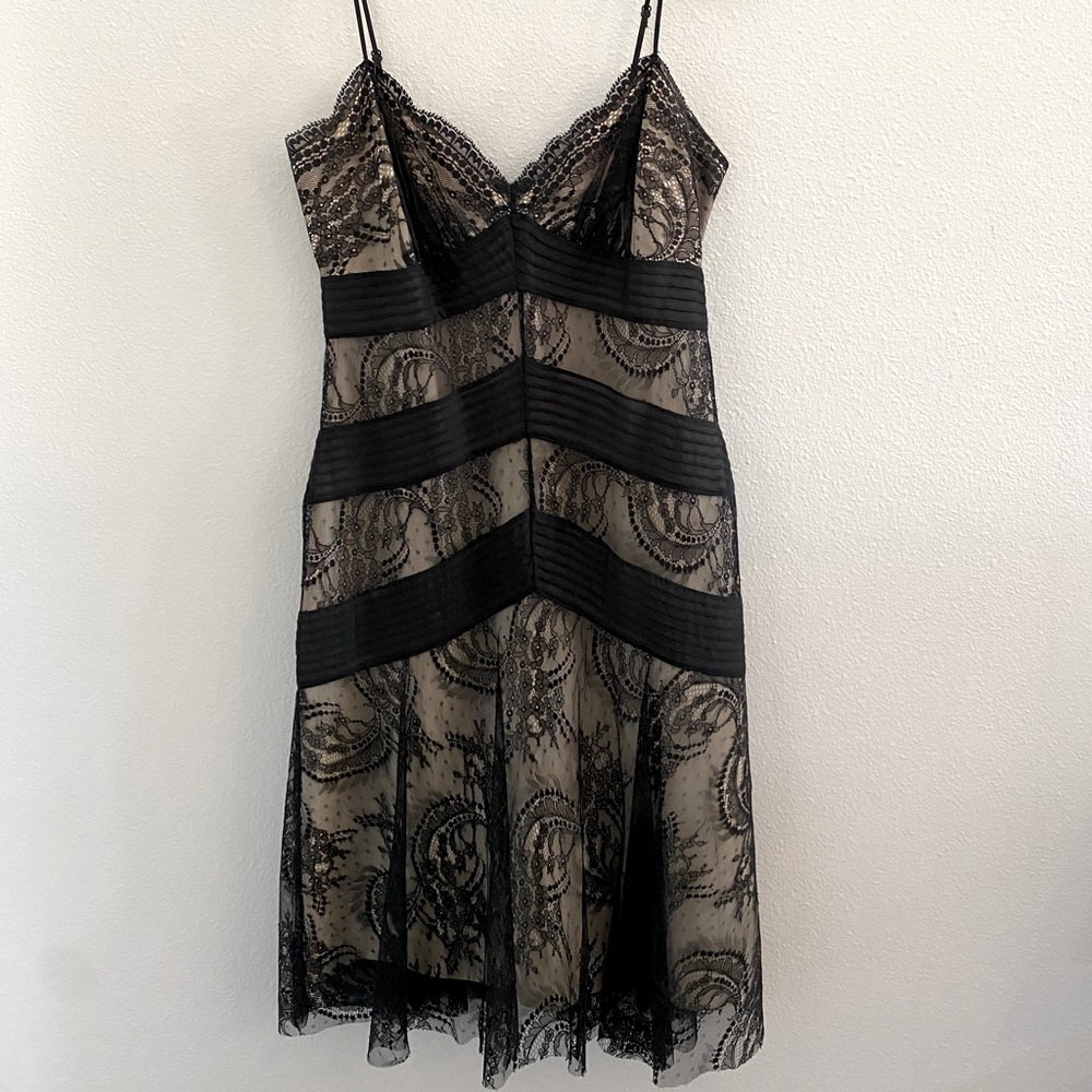 BCBG Max Azria Lace Slip Dress, Size 6